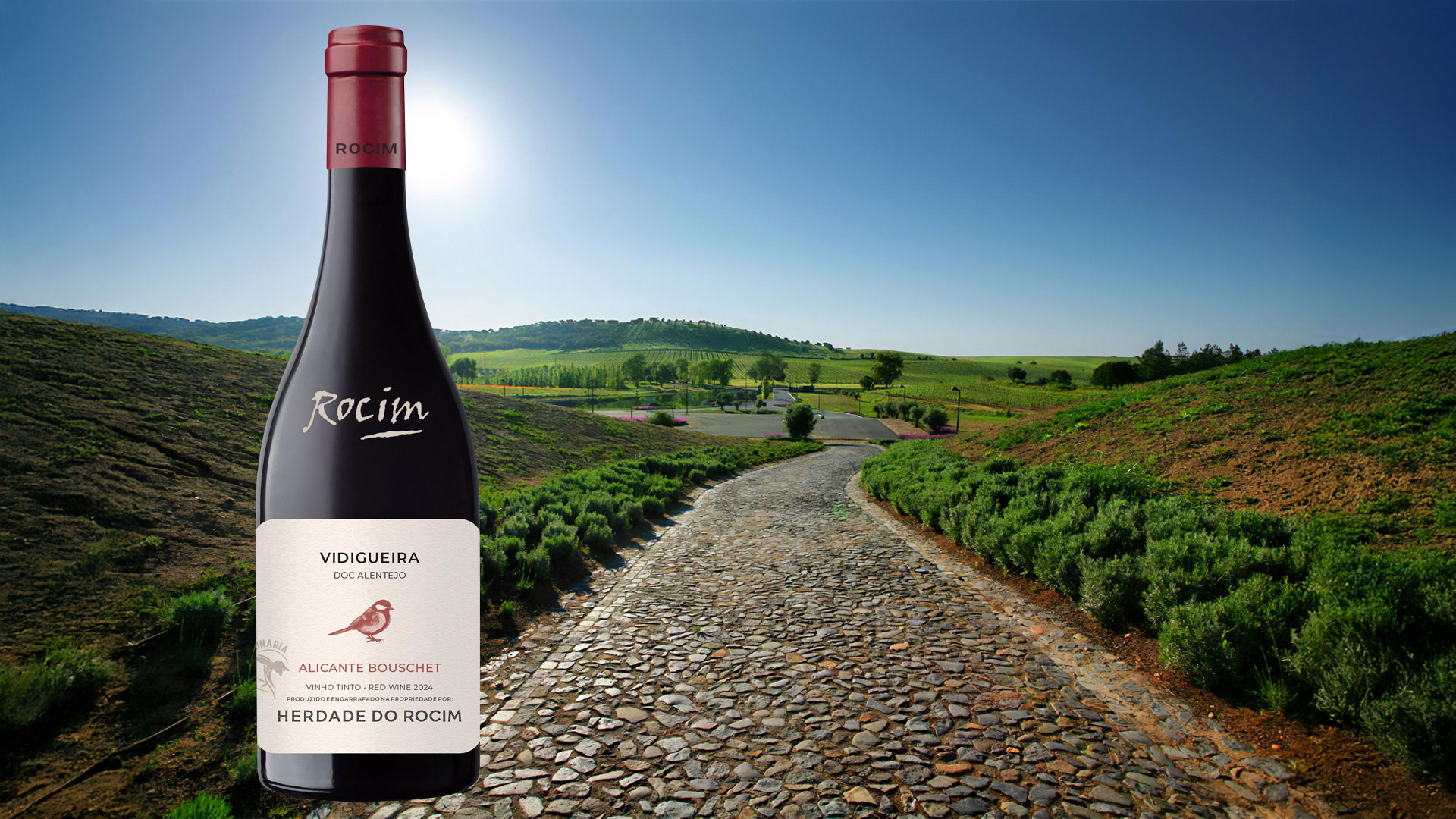 Vinho Vidigueira: Often aged in amphorae, the pours from this part of Portugal are fresh and vibrant