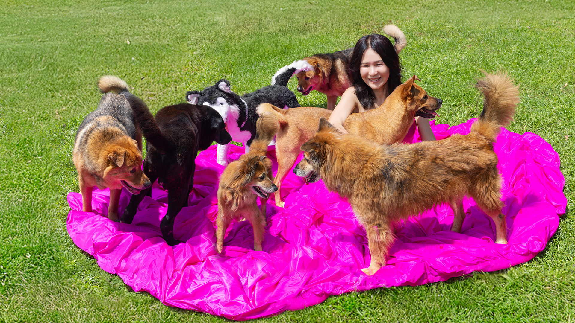 Creature Comforter: Margaret Chiu, the gentlest of animal activists, inspires humankind to be compassionate and connected