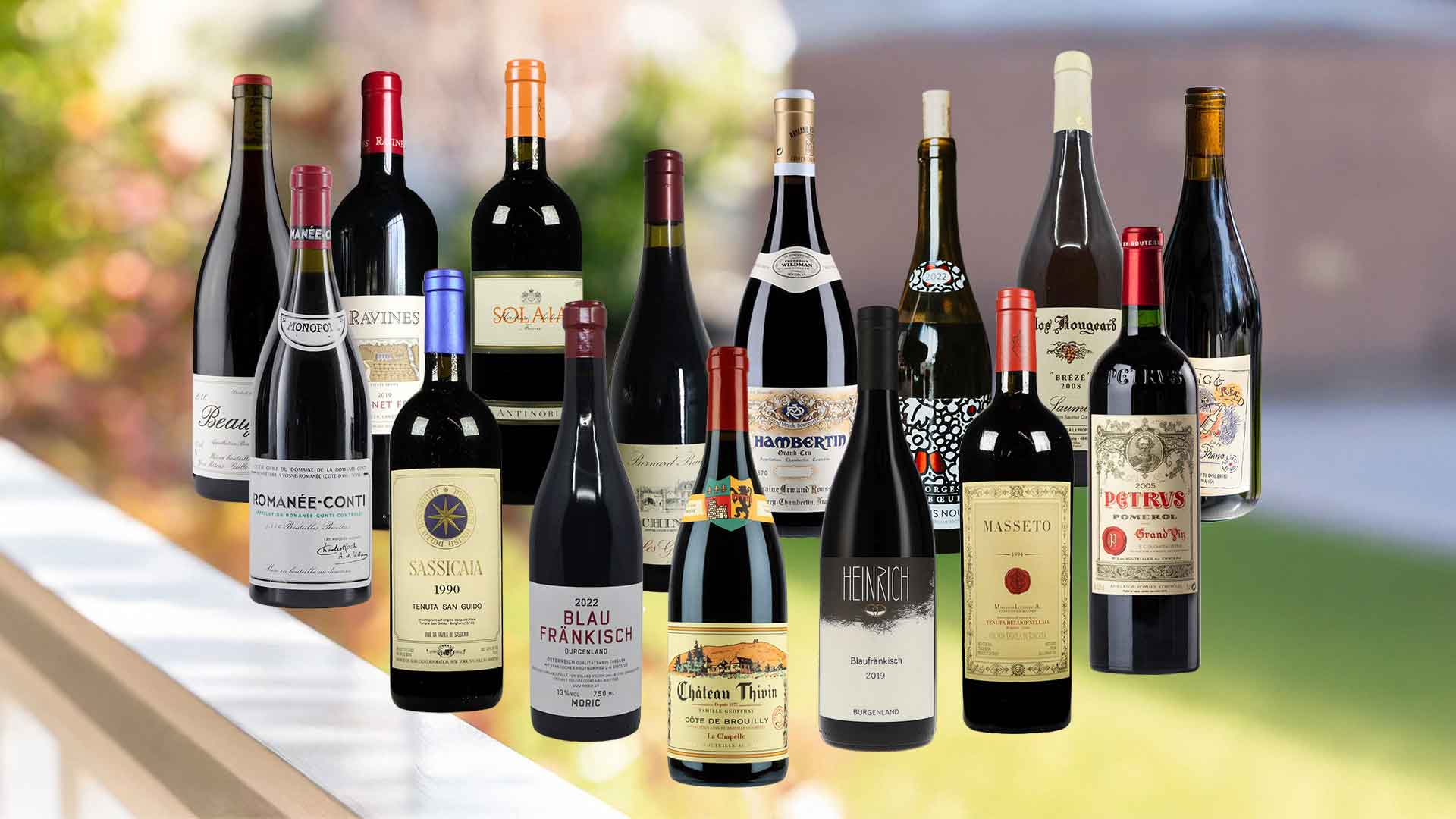 Savoury Toasts: Elevate winter evenings in or out on the town with soulful red wines that shine